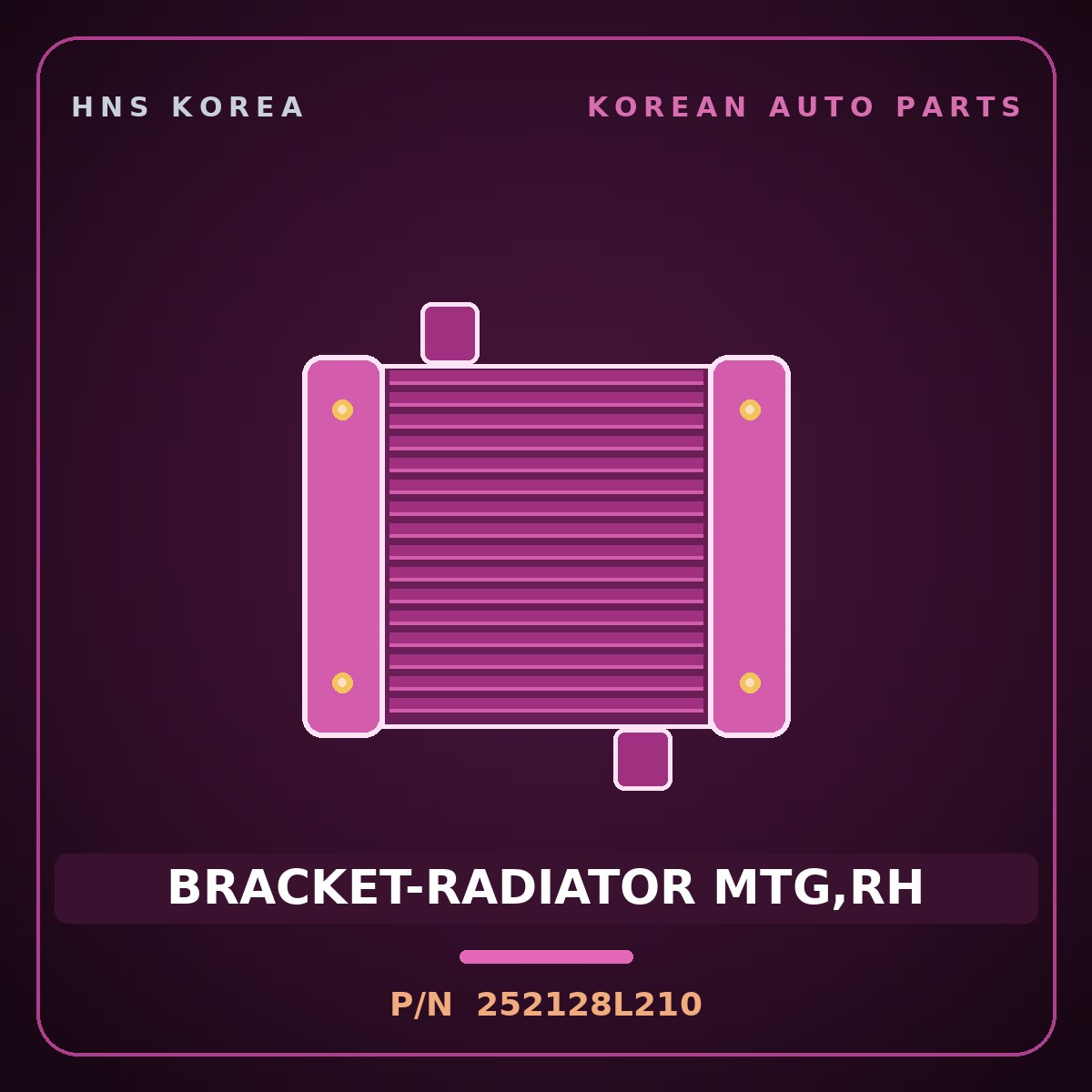 Genuine Mobis BRACKET-RADIATOR MTG,RH 252128L210 for Elec City 2008 HNS Parts Korea