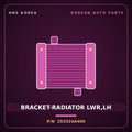 Genuine Mobis BRACKET-RADIATOR LWR,LH 253324A400 for Grand Starex 2002 HNS Parts Korea