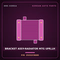 Genuine Mobis BRACKET ASSY-RADIATOR MTG UPR,LH 25332CN000 for Porter 2020 HNS Parts Korea