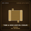 Genuine Mobis TUBE & HOSE ASSY-OIL COOLER 254703A402 for Trajet 2004 HNS Parts Korea