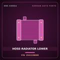 Genuine Mobis HOSE-RADIATOR LOWER 254122B000 for Santa Fe 2006 HNS Parts Korea
