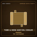 Genuine Mobis TUBE & HOSE ASSY-OIL COOLER 254703A502 for Trajet 1999 HNS Parts Korea