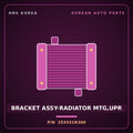 Genuine Mobis BRACKET ASSY-RADIATOR MTG,UPR 253331R300 for Accent 2011 HNS Parts Korea