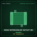 Genuine Mobis HOSE-INTERCOOLER OUTLET (B) 282882GTC1 for Santa Fe 2018 HNS Parts Korea