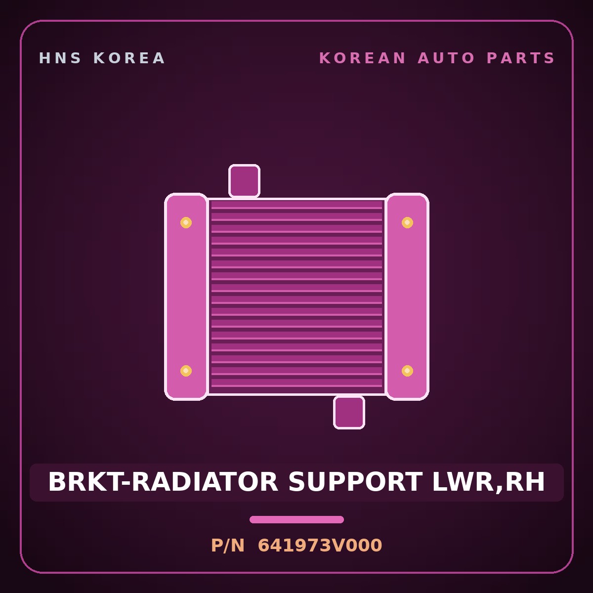Genuine Mobis BRKT-RADIATOR SUPPORT LWR,RH 641973V000 for Aslan 2014 HNS Parts Korea