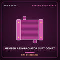 Genuine Mobis MEMBER ASSY-RADIATOR SUPT COMPT 641013L001 for Grandeur 2005 HNS Parts Korea