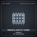 Genuine Mobis MODULE ASSY-TV TUNER 965801D000 for Carens 2006 HNS Parts Korea