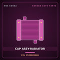 Genuine Mobis CAP ASSY-RADIATOR 253302D090 for Elantra 2000 HNS Parts Korea