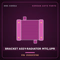 Genuine Mobis BRACKET ASSY-RADIATOR MTG,UPR 25332C5700 for Sorento 2015 HNS Parts Korea