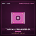 Genuine Mobis TRUNK ASSY-BED UNDER,RH 833607P500YGN for Xcient 2019 HNS Parts Korea