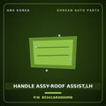Genuine Mobis HANDLE ASSY-ROOF ASSIST,LH 85341AR000HM6 for Genesis GV60 2021 HNS Parts Korea