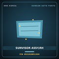 Genuine Mobis SUNVISOR ASSY,RH 852202B513SH for Santa Fe 2010 HNS Parts Korea