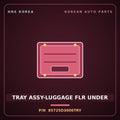 Genuine Mobis TRAY ASSY-LUGGAGE FLR UNDER 85725D3000TRY for Tucson 2015 HNS Parts Korea
