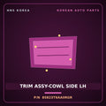 Genuine Mobis TRIM ASSY-COWL SIDE LH 85823T6AA0RGR for Genesis GV80 2024 HNS Parts Korea