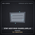 Genuine Mobis STAY ASSY-MUD GUARD,LWR,LH 868407X003 for Xcient 2019 HNS Parts Korea