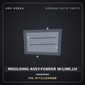 Genuine Mobis MOULDING ASSY-FENDER W/LINE,LH 877111E500EB for Verna 2006 HNS Parts Korea
