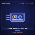 Genuine Mobis LAMP ASSY-PUDDLE,RH 87629T4000 for G90 2022 HNS Parts Korea