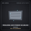 Genuine Mobis MOULDING ASSY-FENDER W/LINE,RH 877121E0002M for Verna 2006 HNS Parts Korea