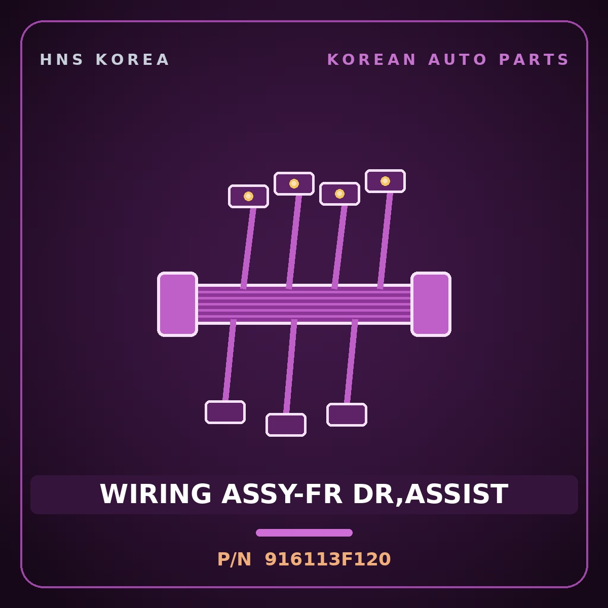 Genuine Mobis WIRING ASSY-FR DR,ASSIST 916113F120 for Opirus 2003 HNS Parts Korea