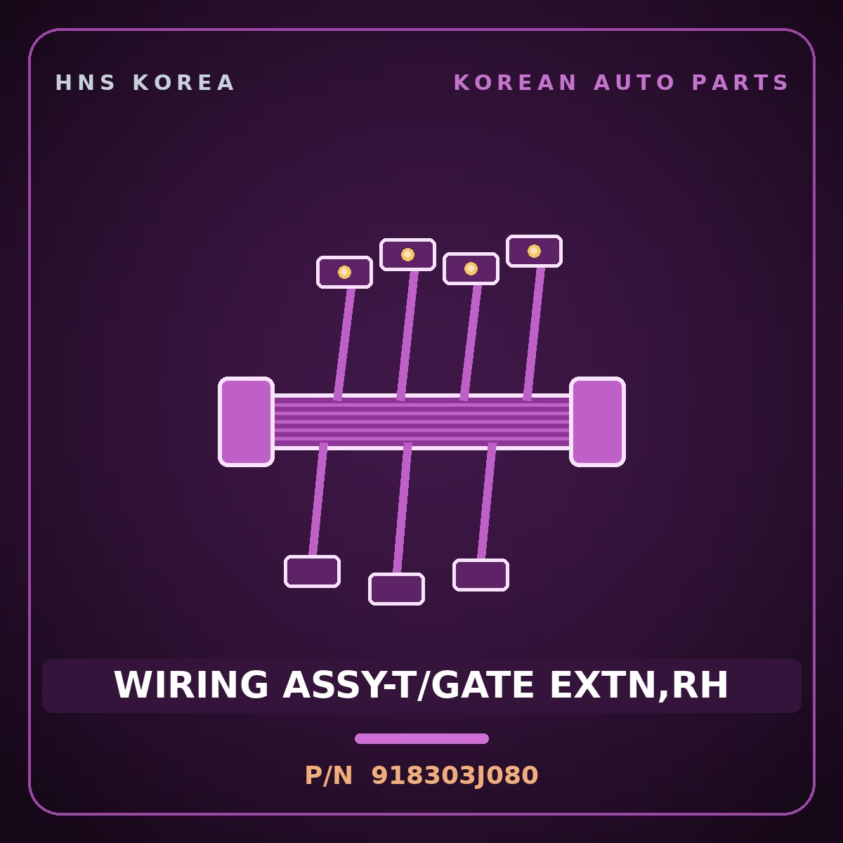 Genuine Mobis WIRING ASSY-T/GATE EXTN,RH 918303J080 for Veracruz 2006 HNS Parts Korea