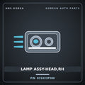 Genuine Mobis LAMP ASSY-HEAD,RH 921022F500 for Cerato 2006 HNS Parts Korea