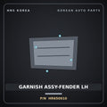 Genuine Mobis GARNISH ASSY-FENDER LH HR650910 for Galloper 1990 HNS Parts Korea