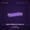 Genuine Mobis ARM COMPLETE-UPR,LH 544004A600 for Starex 2004 HNS Parts Korea