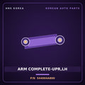 Genuine Mobis ARM COMPLETE-UPR,LH 544004A800 for Grand Starex 1997 HNS Parts Korea