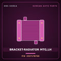 Genuine Mobis BRACKET-RADIATOR MTG,LH 253717B700 for 8-Ton Truck 2000 HNS Parts Korea