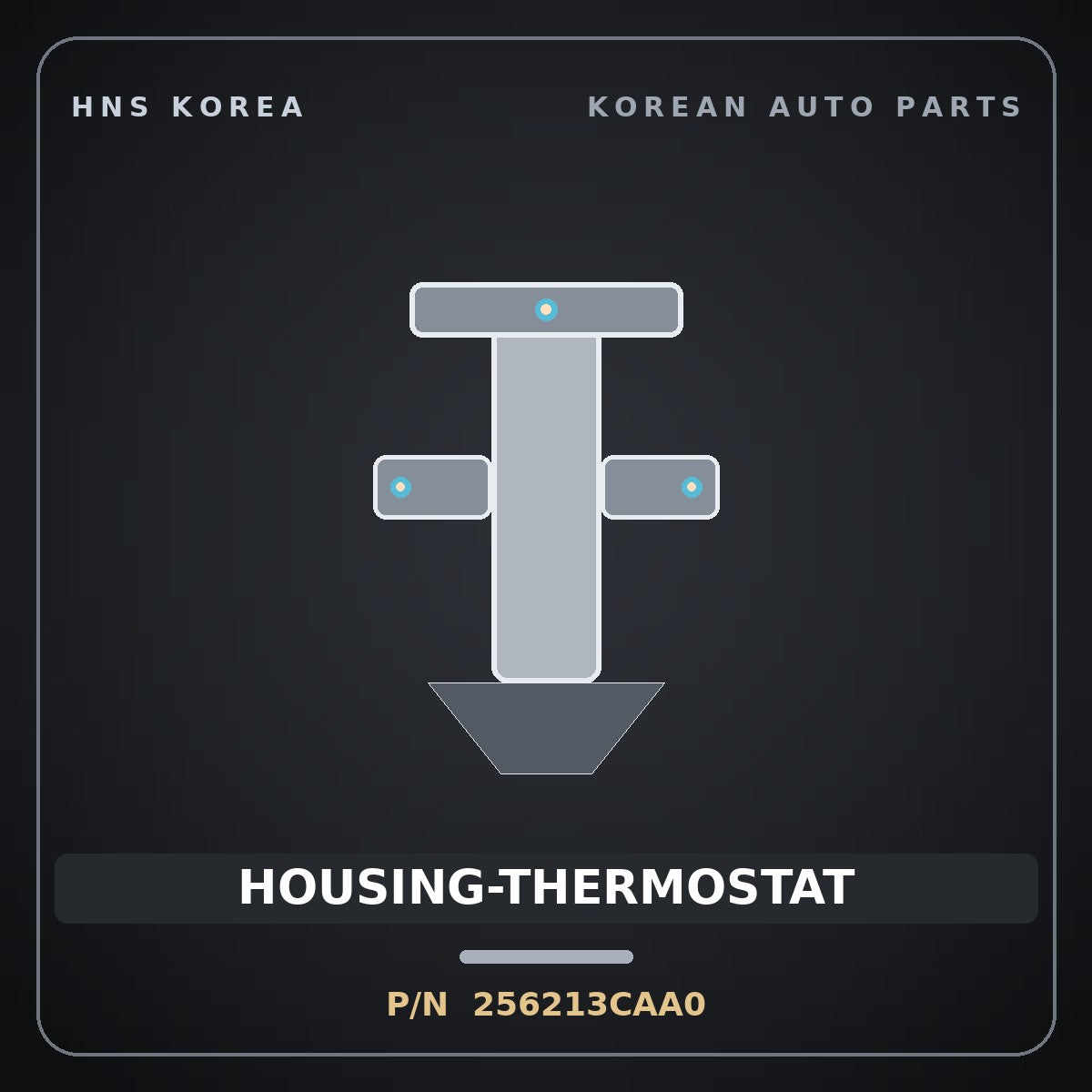 Genuine Mobis HOUSING-THERMOSTAT 256213CAA0 for Aslan 2006 HNS Parts Korea