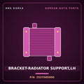 Genuine Mobis BRACKET-RADIATOR SUPPORT,LH 253758D000 for Express 2009 HNS Parts Korea