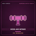 Genuine Mobis HOSE-AIR INTAKE 281381C250 for Click 2006 HNS Parts Korea