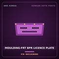 Genuine Mobis MOULDING-FRT BPR LICENCE PLATE 865192B000 for Santa Fe 2006 HNS Parts Korea