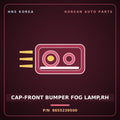 Genuine Mobis CAP-FRONT BUMPER FOG LAMP,RH 8655239500 for Grandeur 1999 HNS Parts Korea