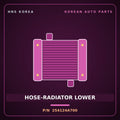 Genuine Mobis HOSE-RADIATOR LOWER 254124A700 for Grand Starex 1997 HNS Parts Korea
