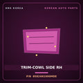 Genuine Mobis TRIM-COWL SIDE RH 85824N1000MDE for Grandeur 2023 HNS Parts Korea
