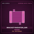 Genuine Mobis BRACKET-RADIATOR,LWR 253735H001 for Mighty 1998 HNS Parts Korea
