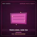 Genuine Mobis TRIM-COWL SIDE RH 85824N1000NNB for Grandeur 2023 HNS Parts Korea