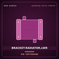 Genuine Mobis BRACKET-RADIATOR,LWR 253735H100 for Mighty 1998 HNS Parts Korea