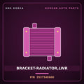 Genuine Mobis BRACKET-RADIATOR,LWR 253734E600 for Bongo 2004 HNS Parts Korea