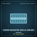 Genuine Mobis COVER-RADIATOR GRILLE LWR,RH 8636226900 for Santa Fe 2000 HNS Parts Korea