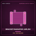 Genuine Mobis BRACKET-RADIATOR LWR,RH 253746C000 for Mega Truck 2008 HNS Parts Korea