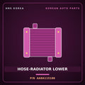 Genuine Mobis HOSE-RADIATOR LOWER AA8A115186 for Power Combi 1998 HNS Parts Korea