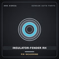 Genuine Mobis INSULATOR-FENDER RH 841420X000 for BlueOn 2011 HNS Parts Korea