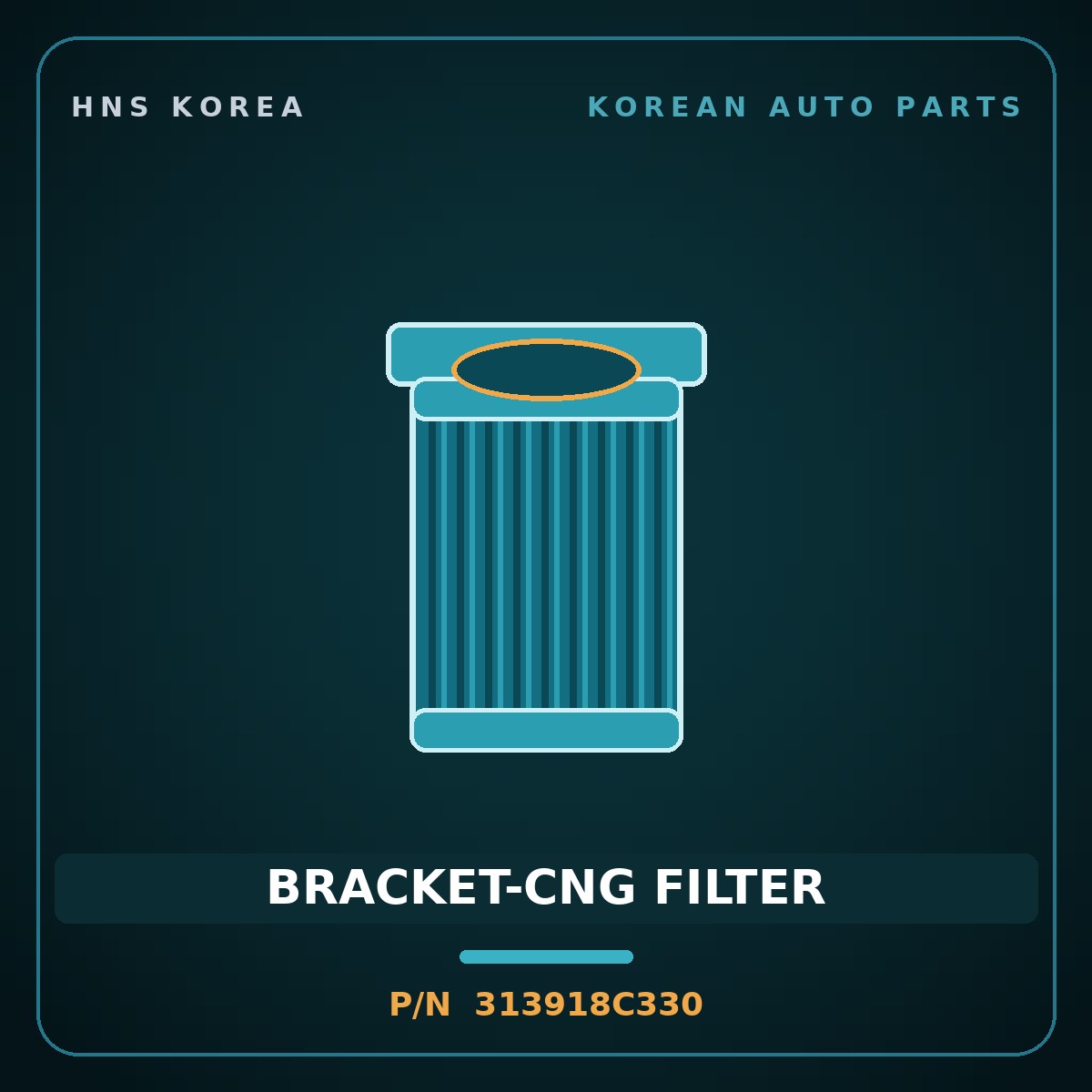 Genuine Mobis BRACKET-CNG FILTER 313918C330 for Aero City 2000 HNS Parts Korea