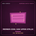 Genuine Mobis MEMBER-COWL SIDE UPPER OTR,LH 667581Y000 for Morning 2011 HNS Parts Korea