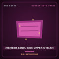 Genuine Mobis MEMBER-COWL SIDE UPPER OTR,RH 667681Y000 for Morning 2011 HNS Parts Korea