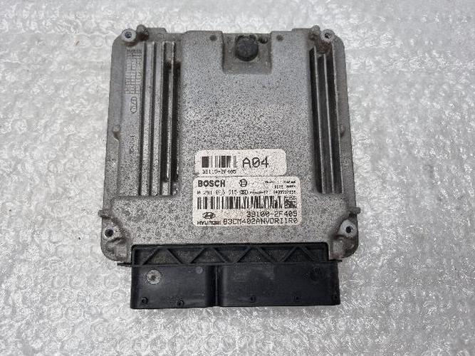 Hyundai Santa Fe 2010 ECU 391002-F405